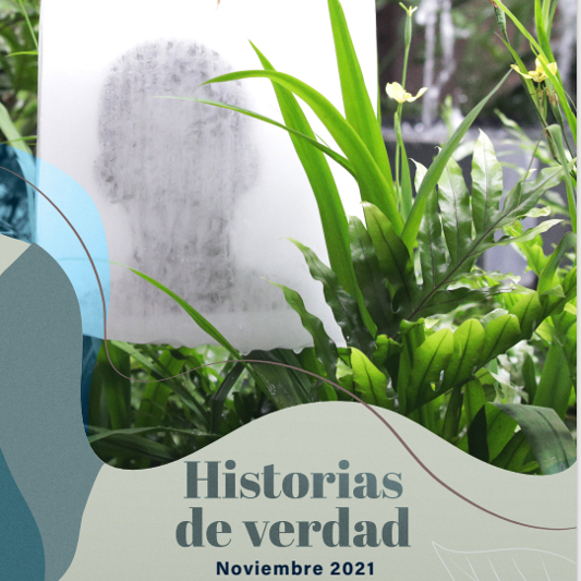 Historias de verdad - Noviembre. Testimonios de víctimas en Vichada, Arauca y Bolívar. 
