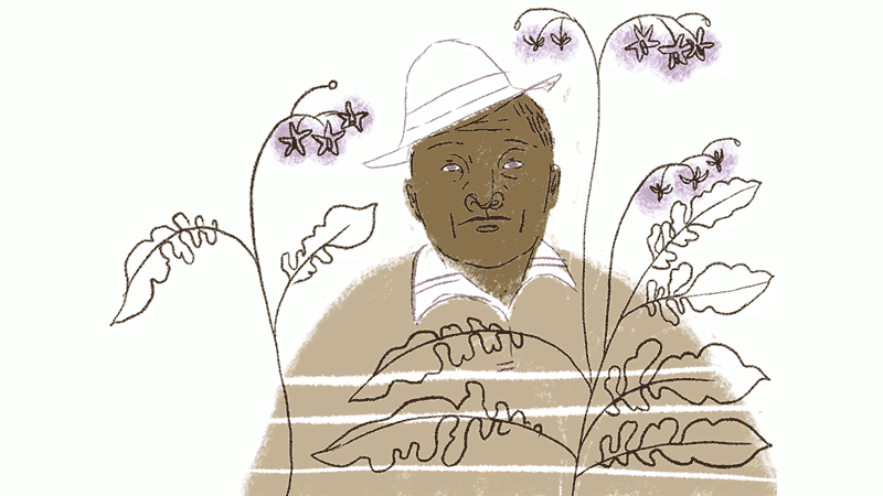 Gif, Ilustración de Armando, hombre afro con sombrero, camisa y ruana café. Abre y cierra los ojos, frente a él hay flores.