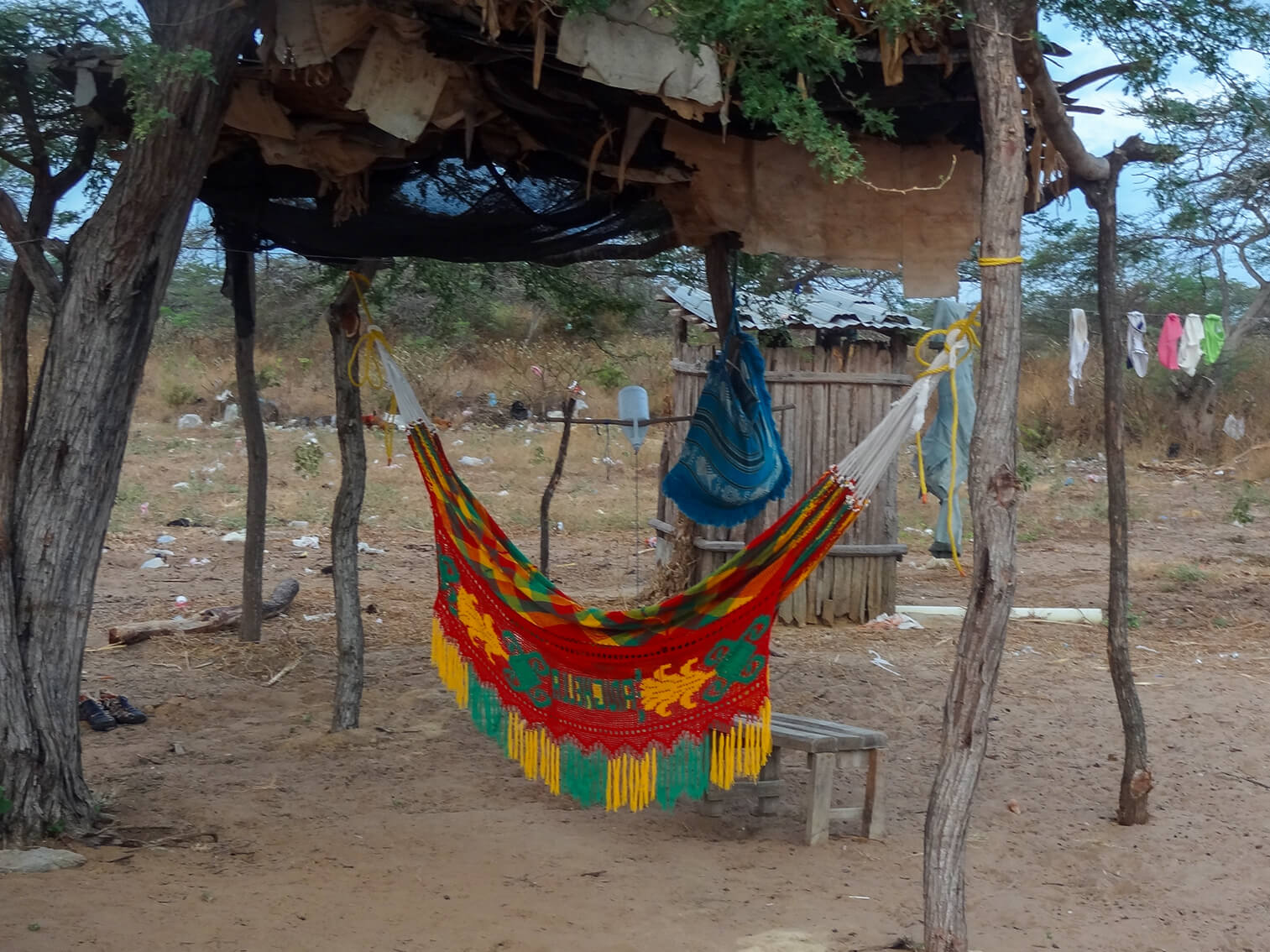 En un rancho wayuu cuelga un chinchorro. El viento trae bolsas de plástico que se enredan en las plantas del desierto.