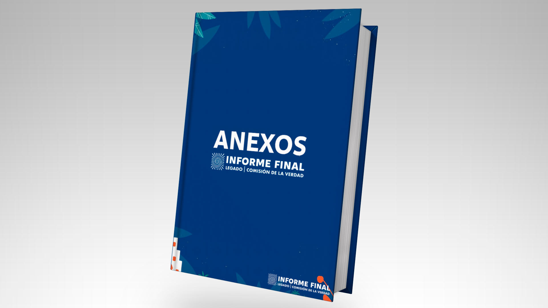 LIbro de anexos