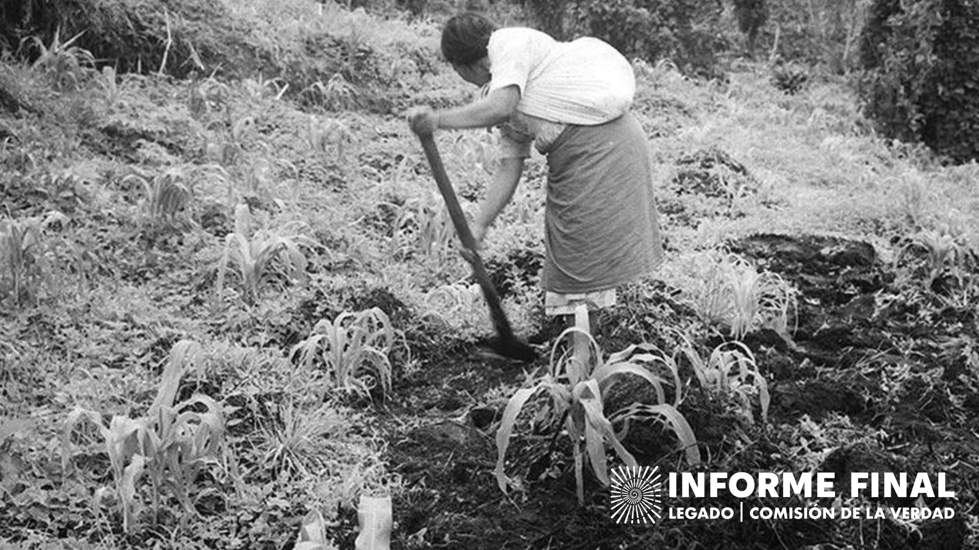 Fotografía antigua. Mujer campesina trabaja la tierra con una pala.