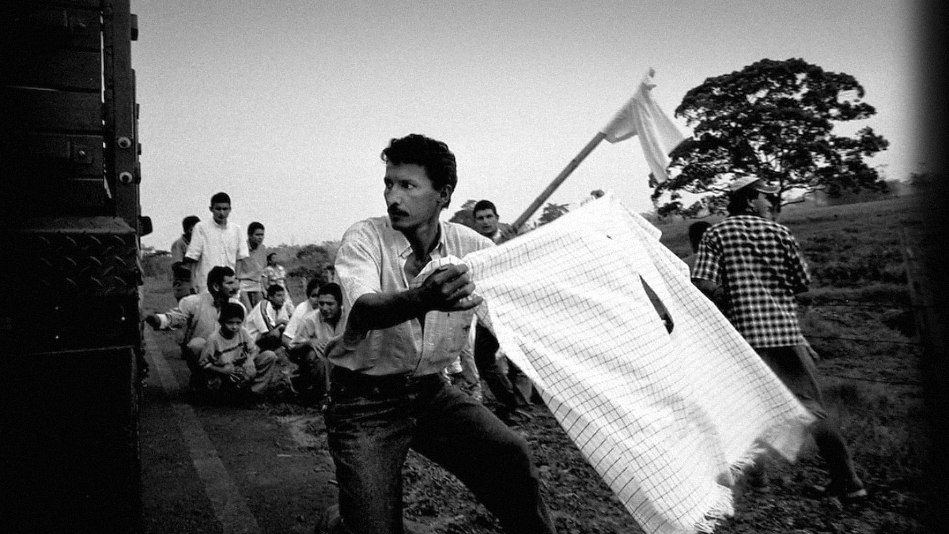 Civiles atrapados en el fuego cruzado, alzan  banderas hechas con  prendas blancas 