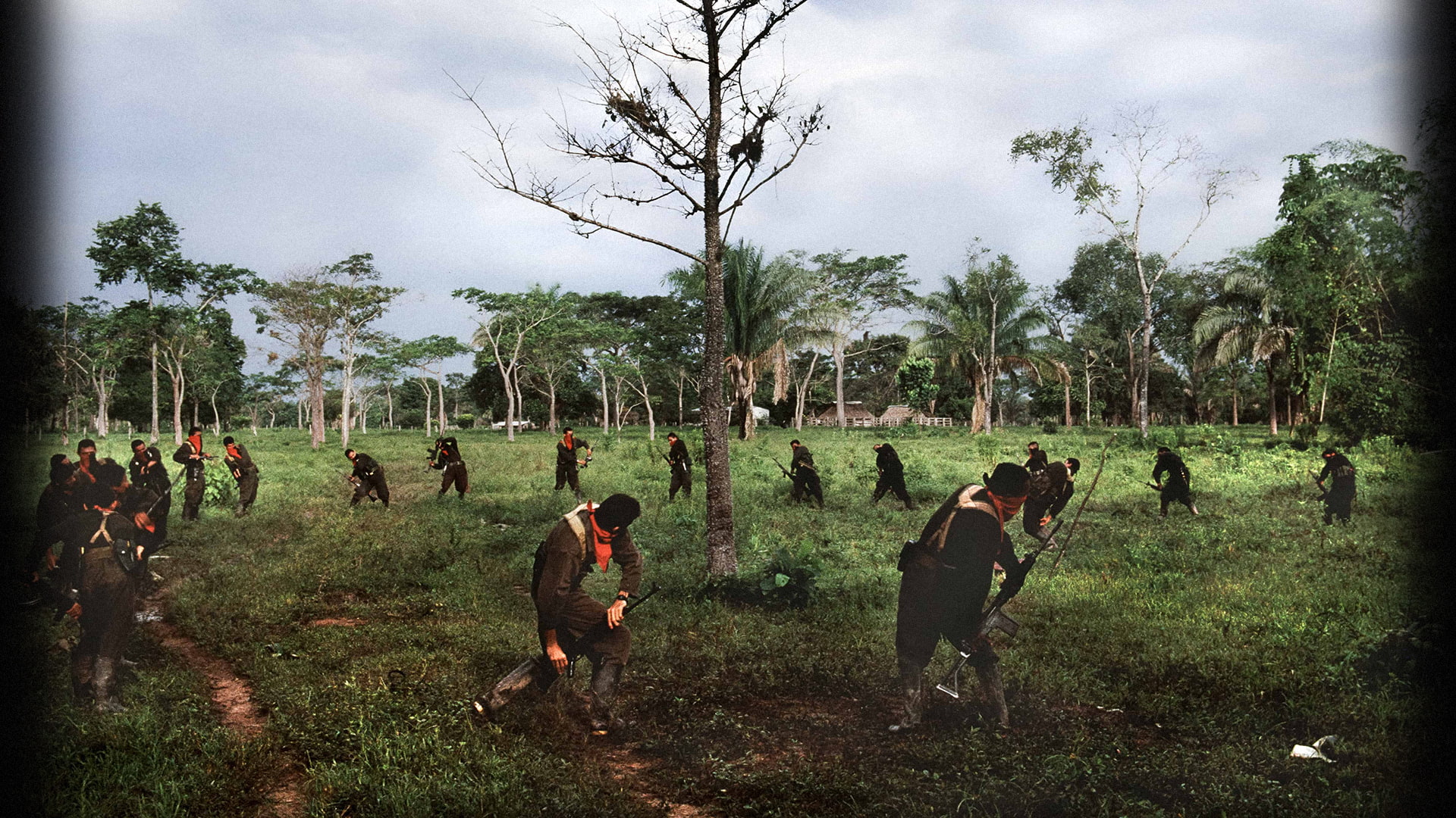 Combatientes del Ejército de Liberación Nacional (ELN) hacen ejercicio cerca a Tame, Arauca 