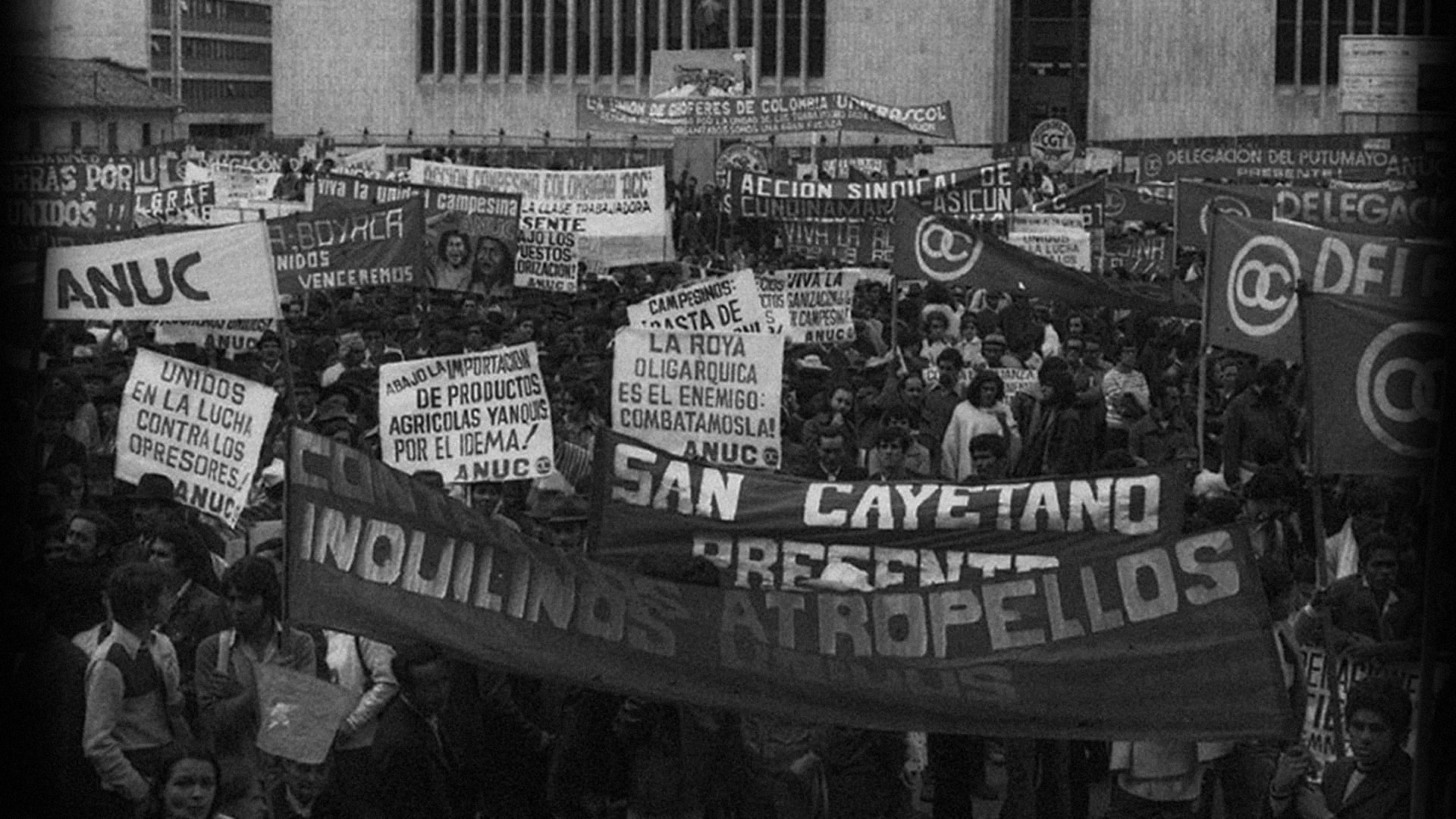 Manifestación, movimientos sociales