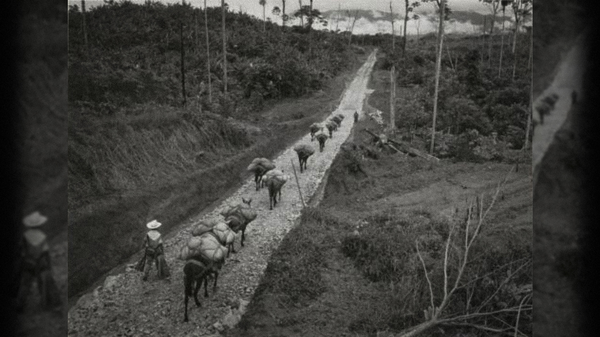 Camino de mulas