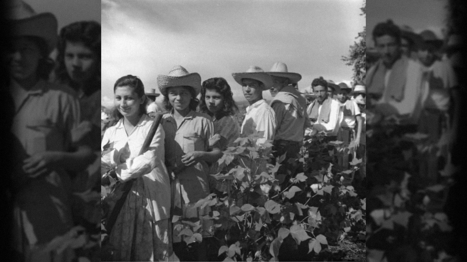 Riego de cultivos. Armero - Tolima