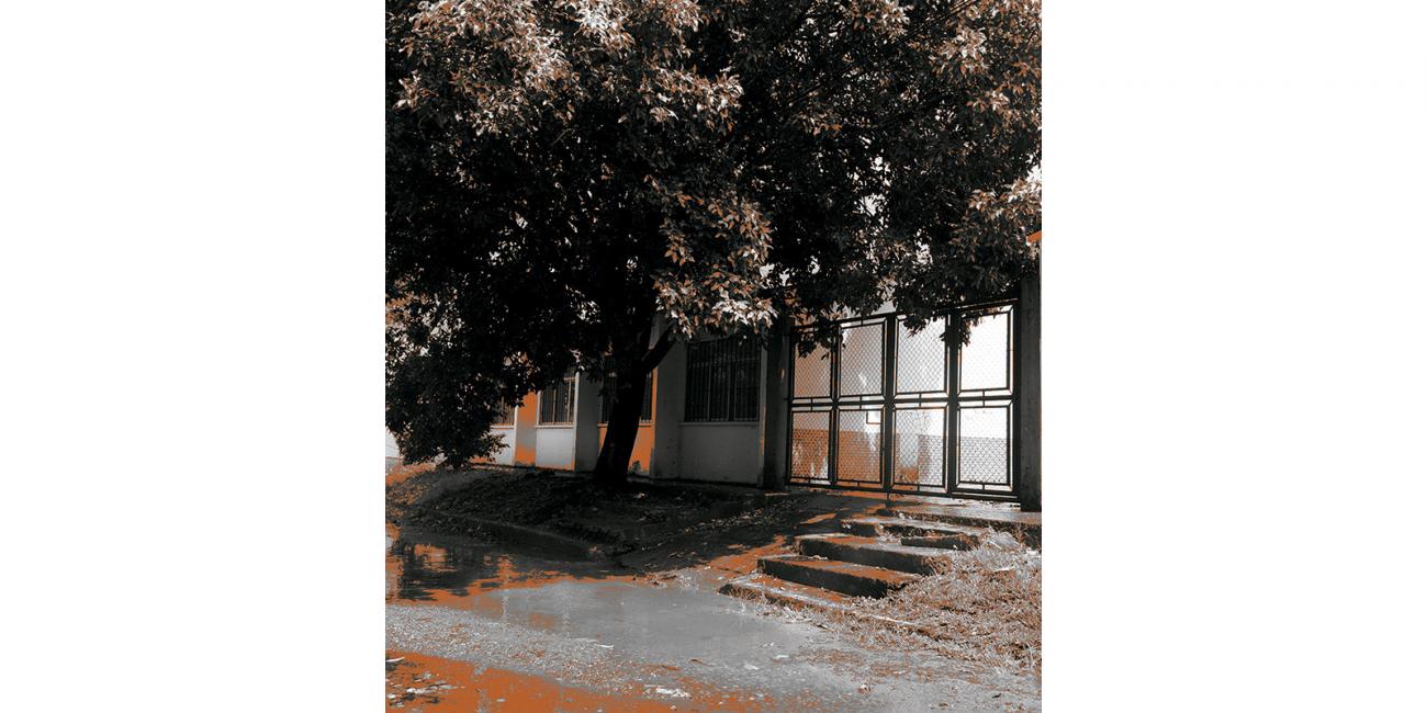 Acera con vista a casas y árbol frondoso