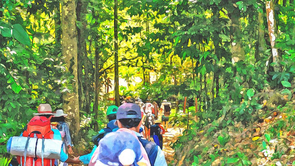 Fotografía intervenida. Fila de personas con sombreros y morrales de viaje  caminan bajo la sombra por un sendero con árboles