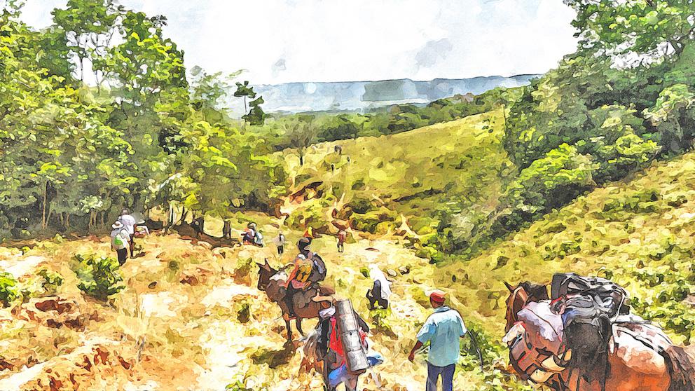 Fotografía intervenida. Grupo de caminantes, con caballos cargados bajan por una montaña. Día soleado