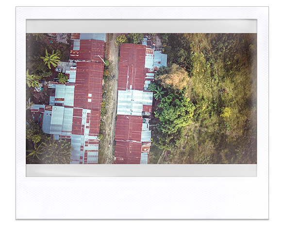 Instantánea. Vista aérea de casas con techos en teja metálica, una calle las divide. Vegetación alrededor