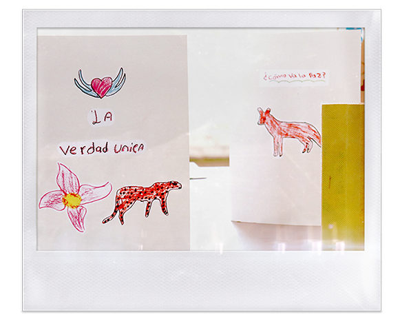 Instantánea. Dibujos con flor, corazón, zorro, jaguar y frases "¿Cómo va la paz?" y "La verdad única"